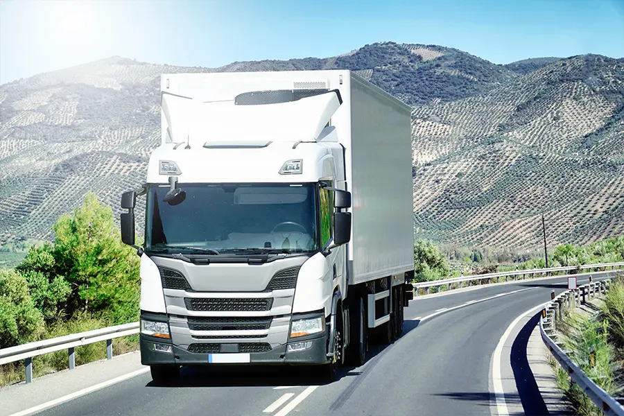 Streamlined shipping for Timely Delivery